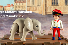 Museum to Go: 375 Jahre Westfälischer Frieden: Der Elefant Hansken und Osnabrück: Hansken Westfälischer Friede
