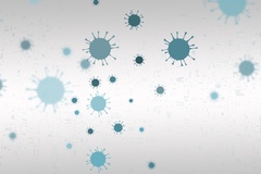 Corona-Update: Coronavirus Corona-Update: Coronavirus