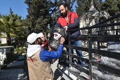 50.000 Euro Soforthilfe für die Opfer der Erdbeben-Katastrophe: In Aleppo verteilen Helfer der Caritas die dringend benötigten Hilfsgüter. 