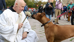 : Tiersegnung vor dem Dom - am 7. Oktober ist es wieder soweit. 